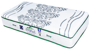 تشک اورست مدل دیپ