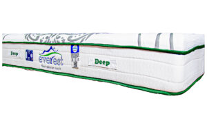 تشک اورست مدل دیپ