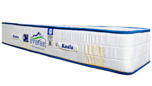 تشک اورست مدل کوالا